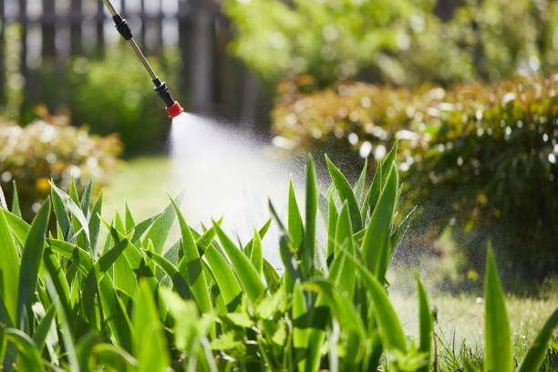 24/7 Emergency Mosquito Control experts in Dallastown, PA